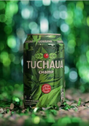 Post de carnaval do Guaraná Tuchaua
